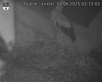 Capi_Dubne_20250602_021502.jpg