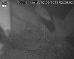 Capi_Dubne_20250602_022002.jpg