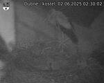 Capi_Dubne_20250602_023002.jpg