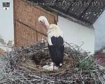 Capi_Dubne_20250602_093503.jpg