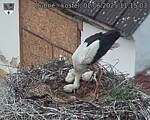 Capi_Dubne_20250602_111503.jpg