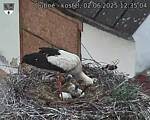 Capi_Dubne_20250602_123504.jpg