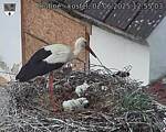 Capi_Dubne_20250602_125503.jpg