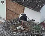 Capi_Dubne_20250602_131503.jpg