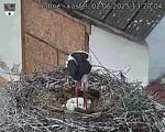 Capi_Dubne_20250602_132004.jpg
