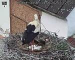 Capi_Dubne_20250602_132503.jpg