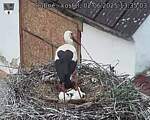 Capi_Dubne_20250602_133503.jpg