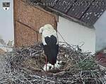 Capi_Dubne_20250602_134003.jpg