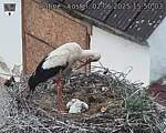 Capi_Dubne_20250602_155003.jpg