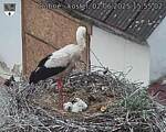 Capi_Dubne_20250602_155502.jpg