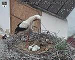 Capi_Dubne_20250602_160502.jpg