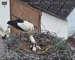 Capi_Dubne_20250602_162003.jpg