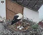 Capi_Dubne_20250602_163504.jpg