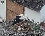 Capi_Dubne_20250602_165004.jpg