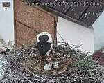 Capi_Dubne_20250602_170002.jpg
