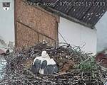 Capi_Dubne_20250602_171003.jpg