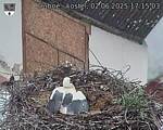 Capi_Dubne_20250602_171503.jpg