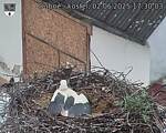 Capi_Dubne_20250602_173003.jpg