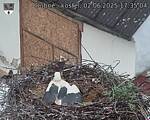 Capi_Dubne_20250602_173504.jpg