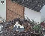 Capi_Dubne_20250602_175004.jpg
