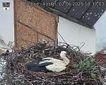 Capi_Dubne_20250602_183003.jpg