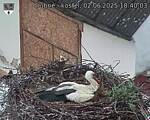 Capi_Dubne_20250602_184003.jpg