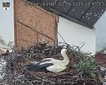 Capi_Dubne_20250602_184503.jpg