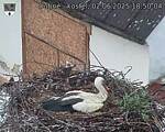 Capi_Dubne_20250602_185004.jpg