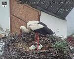 Capi_Dubne_20250602_191003.jpg