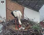 Capi_Dubne_20250602_191503.jpg