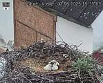 Capi_Dubne_20250602_193503.jpg