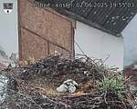 Capi_Dubne_20250602_195503.jpg