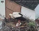 Capi_Dubne_20250602_200503.jpg