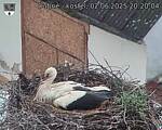 Capi_Dubne_20250602_202004.jpg