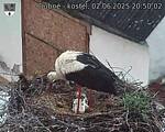 Capi_Dubne_20250602_205002.jpg