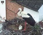 Capi_Dubne_20250602_210503.jpg