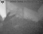 Capi_Dubne_20250602_214002.jpg