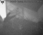 Capi_Dubne_20250602_214503.jpg