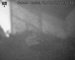 Capi_Dubne_20250602_215502.jpg