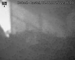 Capi_Dubne_20250602_220503.jpg