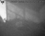 Capi_Dubne_20250602_222003.jpg