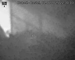 Capi_Dubne_20250602_223003.jpg