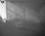 Capi_Dubne_20250602_224003.jpg