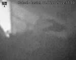 Capi_Dubne_20250602_225503.jpg
