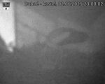 Capi_Dubne_20250602_230002.jpg