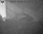 Capi_Dubne_20250602_230502.jpg