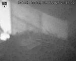 Capi_Dubne_20250602_231502.jpg