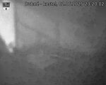 Capi_Dubne_20250602_232002.jpg
