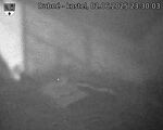 Capi_Dubne_20250602_233003.jpg