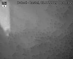 Capi_Dubne_20250603_001002.jpg